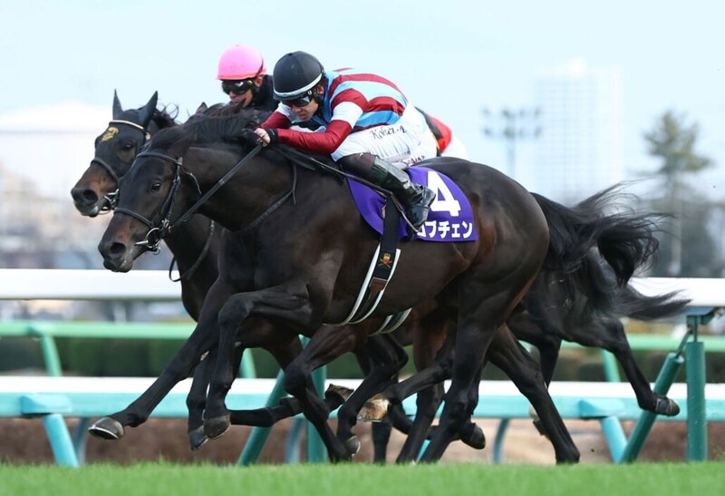 【皐月賞】ロブチェンは2枠4番…レーン騎乗カヴァレリッツォは最内枠へ
