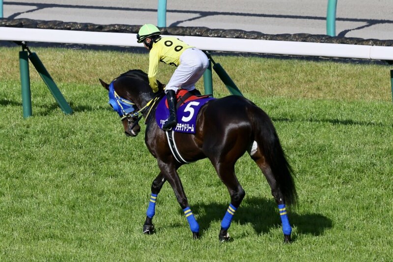 【中山GJ】石神深一、障害G1ラスト騎乗は8着