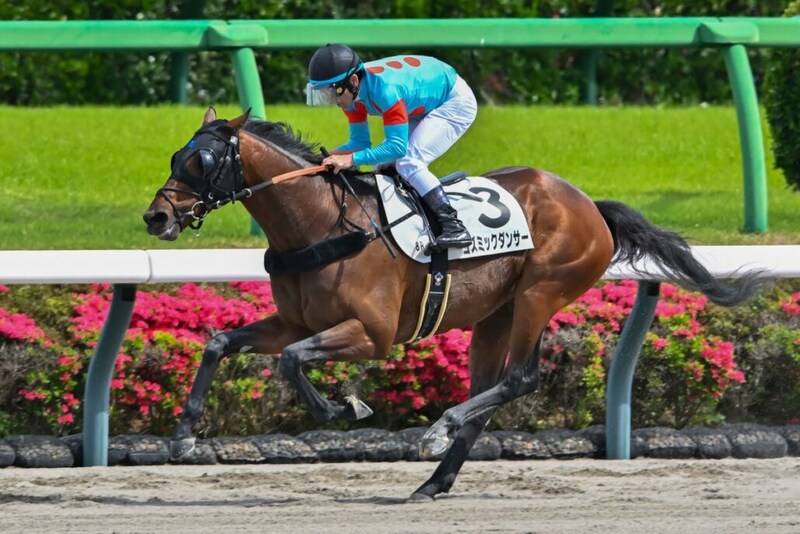 【中山8R】コズミックダンサーが6馬身差圧勝
