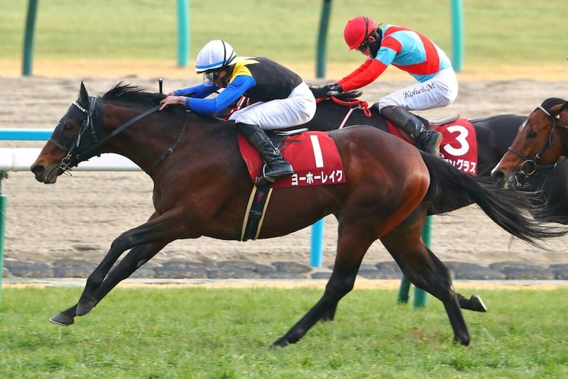 ヨーホーレイクが引退…競馬学校で乗馬に