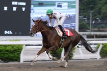 【高知・スピカ特別】スカンジナビアが7馬身差圧勝…高知転入後無傷の6連勝