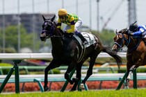 【中山5R】武豊マーゴットブローが抜け出しV…断然人気グリオンヴールは8着