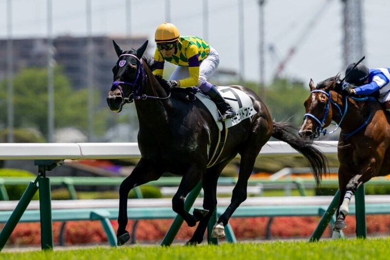 【中山5R】武豊マーゴットブローが抜け出しV…断然人気グリオンヴールは8着