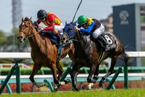 【野島崎特別】レーン騎乗 ラブリージャブリーがハナ差V、外から力強く差し切る