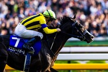 【香港チャンピオンズデー】日本馬6頭、香港入り…各陣営問題なく本番へ