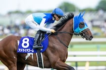 【マイラーズC登録馬】アドマイヤズームなど19頭