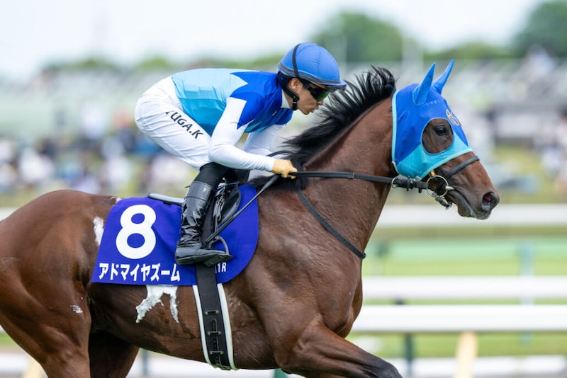 【マイラーズC登録馬】アドマイヤズームなど19頭