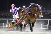 【ばんえい十勝】メムロボブサップがベストホース…今井千尋はベストジョッキーに