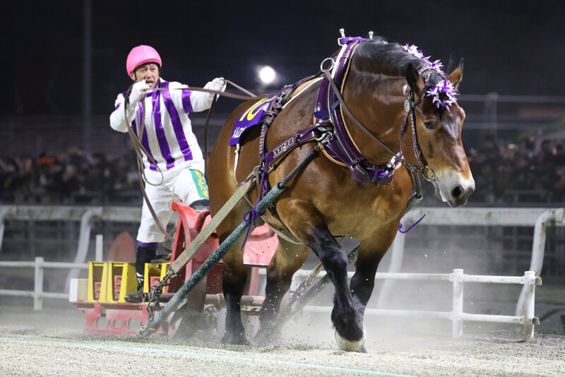 【ばんえい十勝】メムロボブサップがベストホース…今井千尋はベストジョッキーに