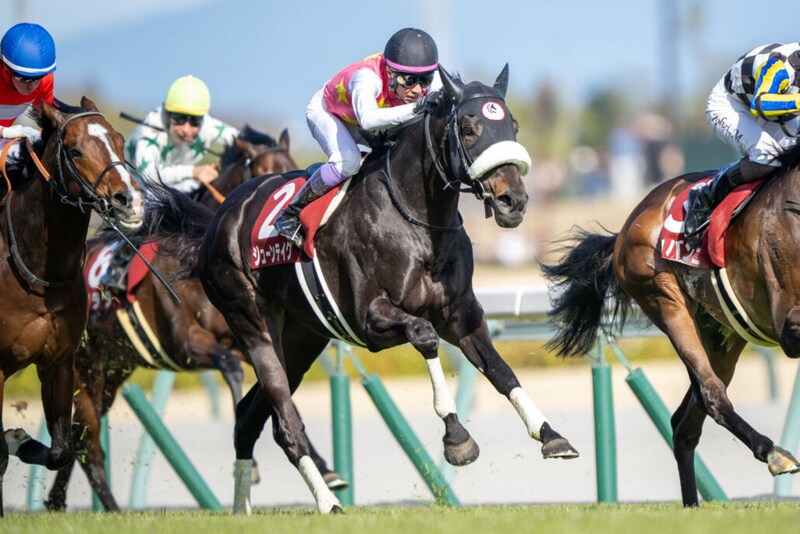 香港チャンピオンズデーへ、日本馬が最終調整 モレイラ騎乗ジューンテイクは好気配、各馬順調に態勢整う