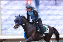 【クイーンエリザベス2世カップ】ロマンチックウォリアーVSマスカレードボール！最強馬が激突