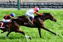 【青葉賞】武豊お見事！ゴーイントゥスカイが抜け出す…ノーブルサヴェージは競走中止