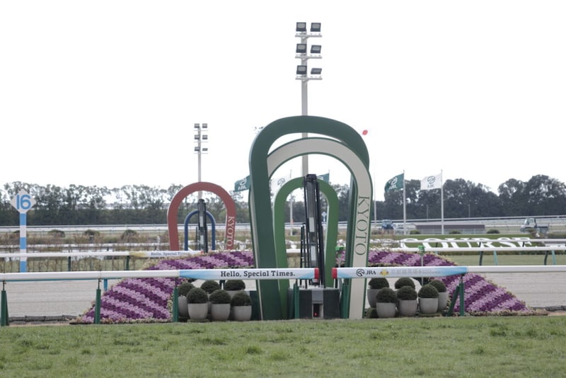 【天王山S】伏兵ジュンウィンダムが差し切りV…60kgドンアミティエは2着