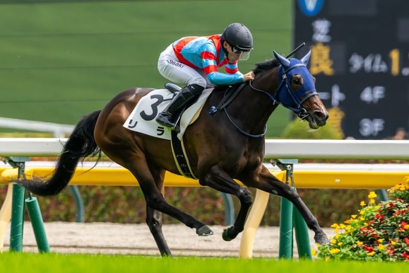 【東京5R】良血グランマエストロ、惜敗続きに終止符打てず…勝利したのはリラ