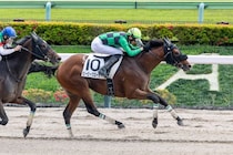 【東京6R】断然人気ビービークローサーが差し切りV…単勝1.8倍の支持に応える