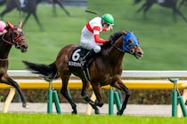 【石和特別】レーン騎乗 良血ダノンミッションが快勝
