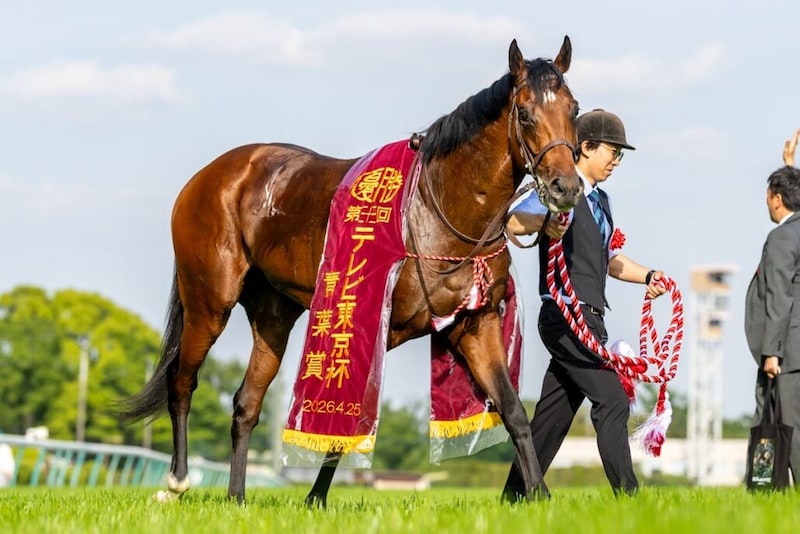 WIN5は1億5000万円超の払戻し…青葉賞は武豊ゴーイントゥスカイが快勝