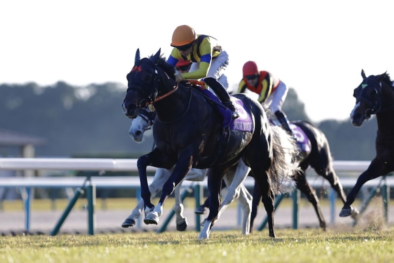 【チャンピオンズマイル】ジャンタルマンタルは6番ゲートから