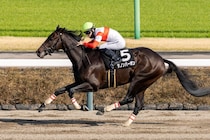 【ケンタッキーダービー】ダノンバーボン無事到着、長距離輸送をクリアし本番へ