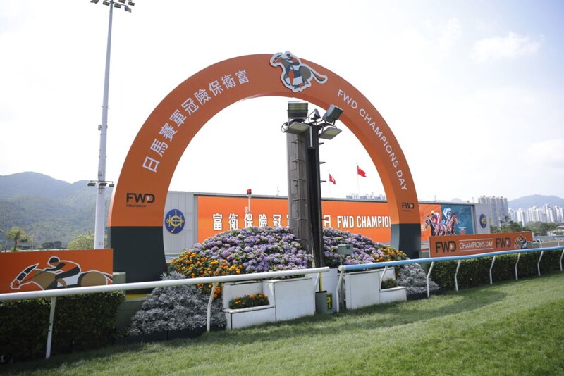 香港チャンピオンズデー見どころ…マスカレードボールら日本勢6頭、最強香港に挑む