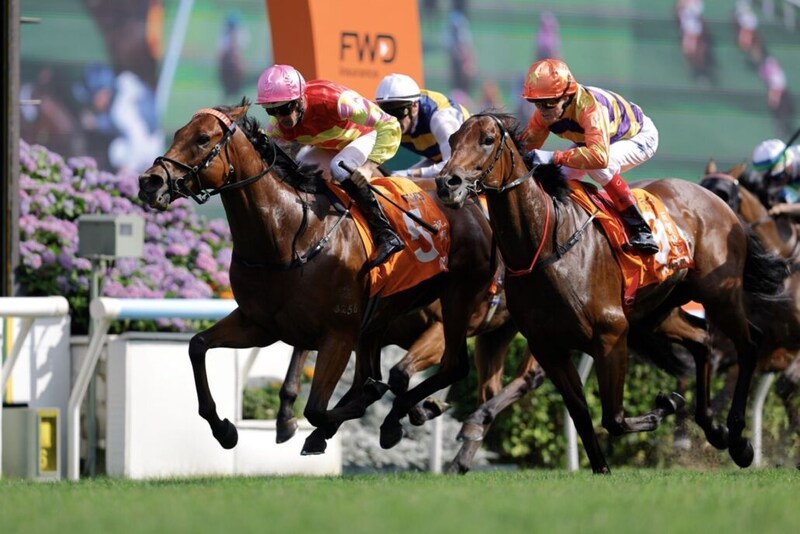 【チャンピオンズマイル】香港馬マイウィッシュが混戦を制す…ジャンタルマンタルら日本勢は着外
