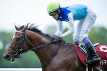 【マイラーズC】武豊「すごい才能を持った馬」アドマイヤズームを復活に導く