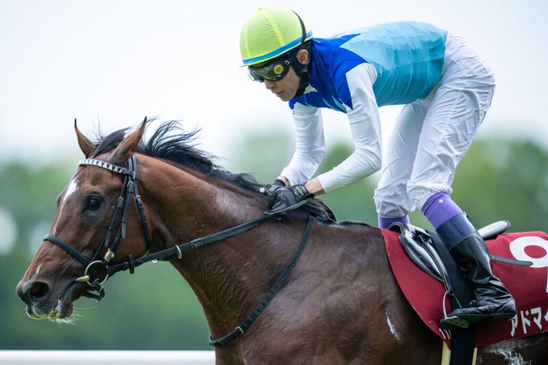 【マイラーズC】武豊「すごい才能を持った馬」アドマイヤズームを復活に導く