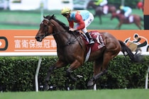 カーインライジング、止まらない20連勝で世界最強を証明…秋はジ・エベレスト連覇へ
