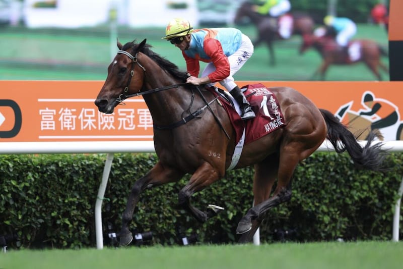 カーインライジング、止まらない20連勝で世界最強を証明…秋はジ・エベレスト連覇へ
