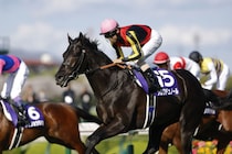 【天皇賞・春登録馬】クロワデュノールなど16頭