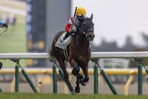 【京王杯SC登録馬】連勝中ダノンセンチュリーなど20頭