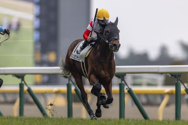 【京王杯SC登録馬】連勝中ダノンセンチュリーなど20頭