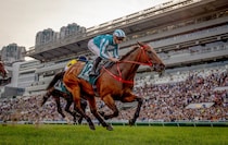 これが世界最強！ロマンチックウォリアー、G1・14勝目の貫禄