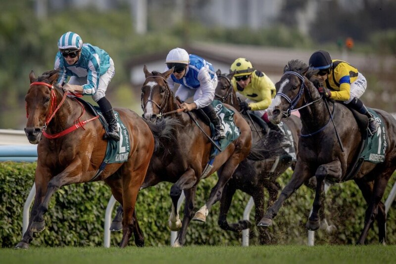 【クイーンエリザベス2世C】凱旋門賞3着馬・ソジーら強豪ヨーロッパ勢は3、4着