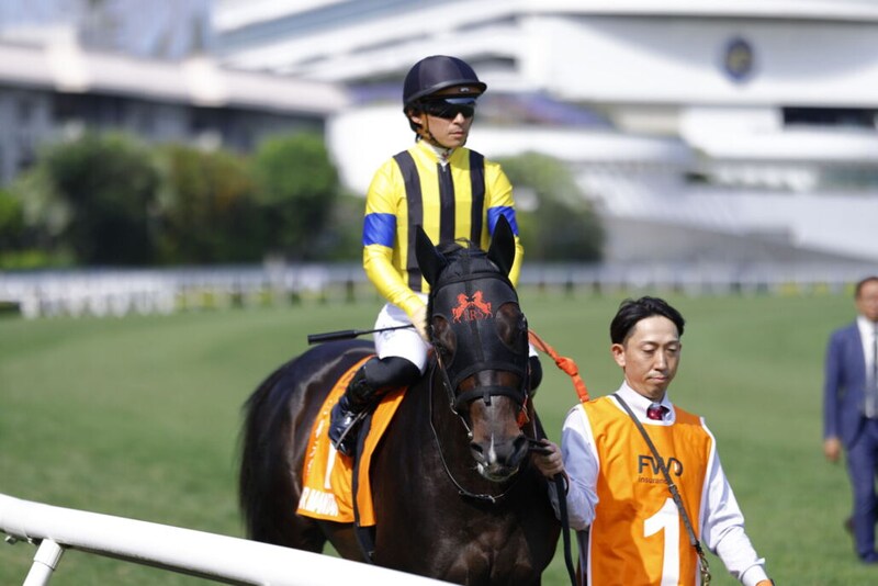 【チャンピオンズマイル】ジャンタルマンタル、まさかの13着敗戦