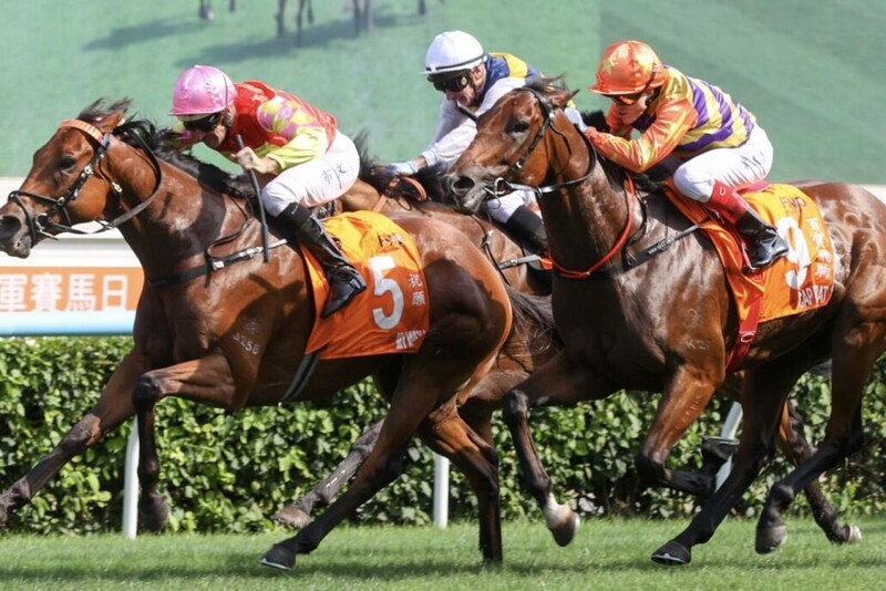 【チャンピオンズマイル】伏兵キャップフェラ激走の2着…ウィリアムズ「国際レベルでも戦えること見せた」