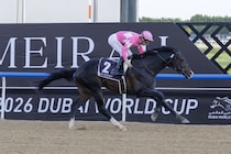 【ケンタッキーダービー】「ちょうど良い動き」「迫力十分」陣営手応え、日本馬2頭が順調仕上げ