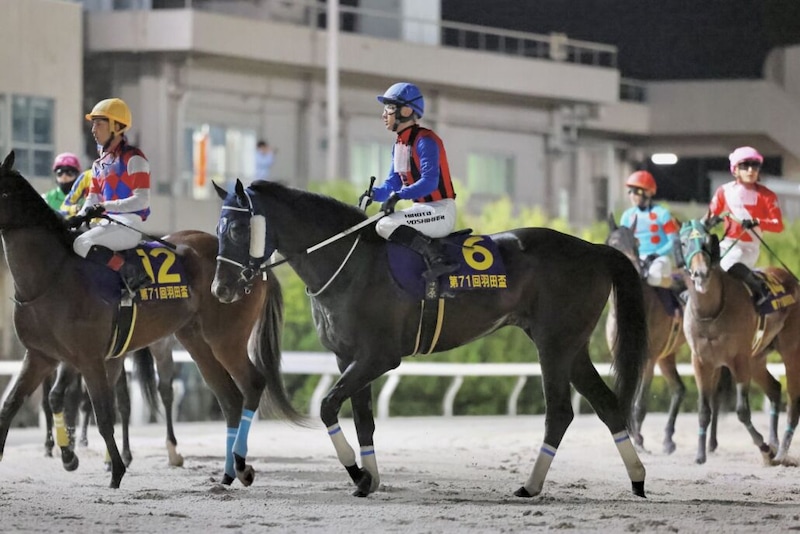 【羽田盃】地方最先着は3着ロウリュ…吉原「ダービーの距離の方が期待」