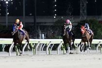 【羽田盃】田中博師「東京ダービーを目指したい」フィンガーがダート三冠初戦を制する