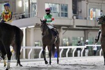 【羽田盃】西村淳「厳しい競馬でした」断然人気ロックターミガンは2着