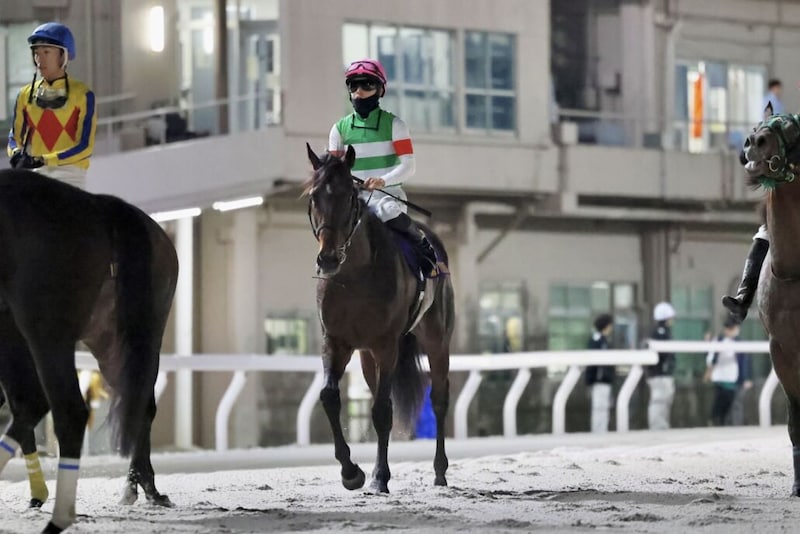【羽田盃】西村淳「厳しい競馬でした」断然人気ロックターミガンは2着