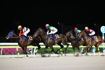 【羽田盃】断然人気ロックターミガン敗れる…レース後ジョッキーコメント