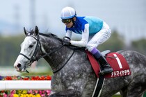 武豊 天皇賞で主役へ、アドマイヤテラと挑む…今週の騎乗馬