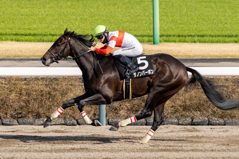 【ケンタッキーダービー】日本馬、いざ大一番へ…ダノンバーボン＆ワンダーディーン順調仕上げ