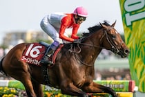 【武豊日記】２日連続で重賞勝利