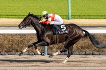【ケンタッキーダービー】ダノンバーボン＆ワンダーディーン参戦、日本の悲願へ…出馬表確定