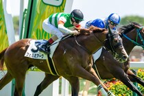 【東京5R】フェルミアークが接戦制し2勝目…進路こじ開け差し切り