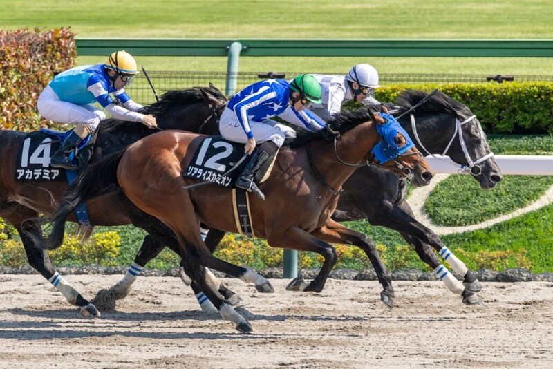 【是政S】レーン騎乗リアライズカミオンがハナ差V、接戦制しオープン入り