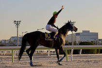 POGファン必見…名門厩舎から大成を目指すコントレイル産駒、外国産馬とは…活躍馬の弟妹、クラシック戦線を狙う2歳馬 G1サラブレッドクラブインタビュー（後編）