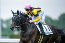 【京都4R】コントレイル産駒 マジョレルブルーが人気に応える